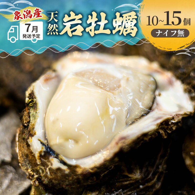 【ふるさと納税】【 先行予約 7月上旬～下旬発送予定】にかほ市産 岩牡蠣 10～15個 ナイフ無【 牡蠣 夏牡蠣 かき 象潟 魚介類 加熱用 海鮮 海産物 海の幸 】　お届け：2026年7月1日～2026年8月10日※状況によって希望通りお届けできない場合もあります。
