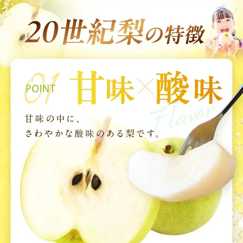 【訳あり】 二十世紀梨 5kg（10～16玉）《8月下旬以降発送》梨