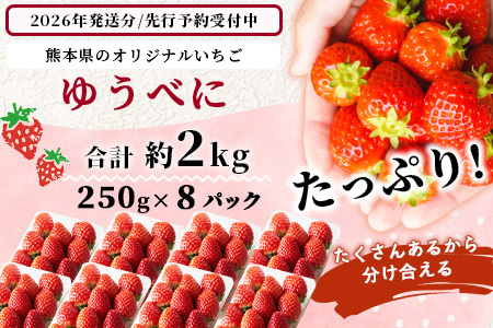 熊本県産 いちご ゆうべに  2kg (250g×8パック)【2027年出荷分】 イチゴ 果物 フルーツ 熊本県 多良木町 農園直送 107-0502