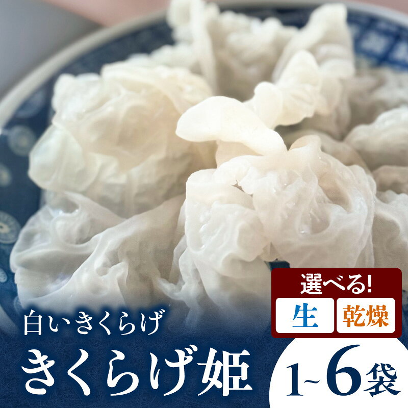 【ふるさと納税】【生/乾燥・内容量が選べる】白いきくらげ「きくらげ姫」白きくらげ きくらげ きのこ 野菜 国産 生タイプ 冷蔵 冷凍保存 乾燥タイプ 常温 小分け パック 生 乾燥 アラゲキクラゲ 料理 炒め物 スープ 鍋 サラダ 刺身 グルメ お取り寄せ 宮崎