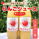 【ふるさと納税】信州産りんごジュース2本【 飲料 ドリンク 長野県 飯山市 リンゴ 林檎 くだもの 果物 美味しい おいしい お取り寄せ 飲み物 ドリンク リンゴジュース 林檎ジュース お返し お礼 御礼 ごあいさつ ご挨拶 贈答用 贈答品 】