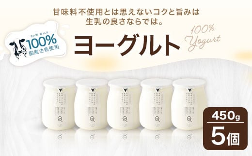 
石坂ファーム の 生乳 100％ ヨーグルト 450g×5個 合計2.25kg 甘味料不使用 デザート 乳製品
