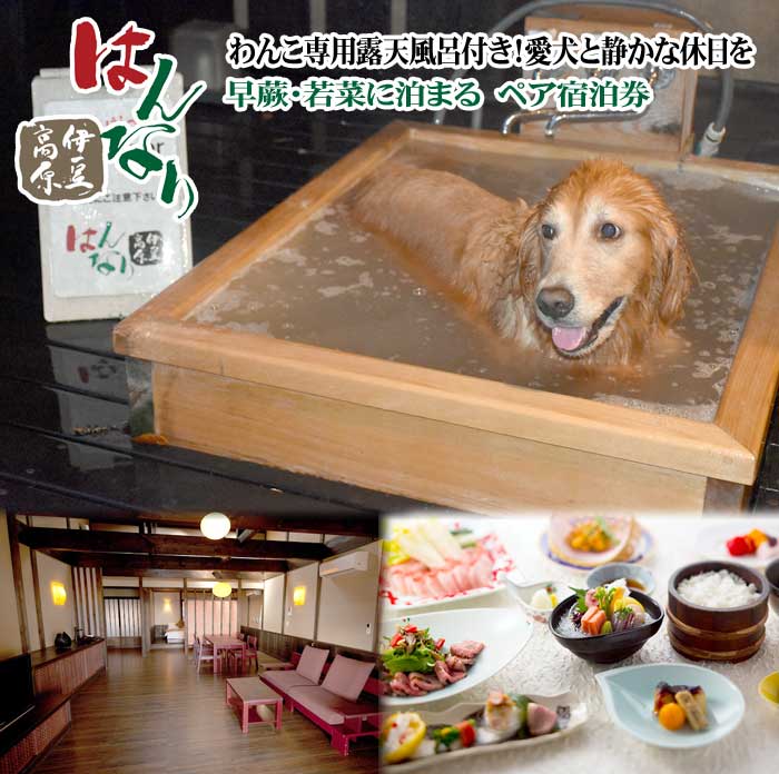 【ふるさと納税】愛犬と泊まる人気温泉宿 はんなり伊豆高原 部屋No「早蕨・若菜」に泊まる ペア宿泊券(1泊2食付)
