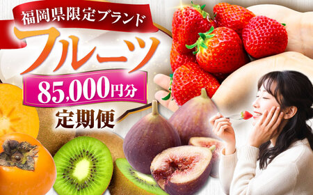 【全5回定期便】フルーツ定期便 8万5千円コース(あまおう2種＆いちじく＆キウイ＆柿) 《豊前市》【豊前市定期便】[VZZ022]