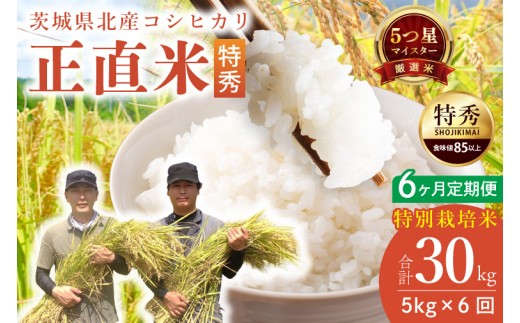 【定期便特別価格】【6ヶ月定期便】★五つ星マイスター★【令和7年産】正直米（特秀）5kg　特別栽培米 【 米 お米 精米 こしひかり コシヒカリ コンテスト 受賞  特別米  5㎏ 定期便 6ヶ月】(BC017)