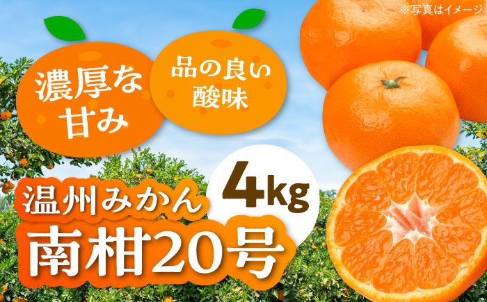 【12月上旬より順次発送】【まごころ手選り手詰め】温州みかん 南柑20号 約4kg 愛媛県大洲市/カームシトラス みかん ミカン 蜜柑 果物 くだもの フルーツ