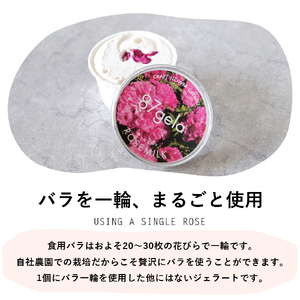 87gela 食べられる薔薇のジェラート おまかせ8個セット 87株式会社 滋賀県 東近江市 A-C15 ローズ ジェラート バラ スイーツ 無添加 ギフト