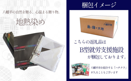 八幡平GEOCOLOR ペンケース（暖色系）【どれが届くかお楽しみ】 ／ 地熱染め 筆記具 筆記用具 大人 小物入れ 筆箱 ふでばこ ポーチ 筆入れ 手絞り 手染め 染物 染め物 お土産 ご当地 人気