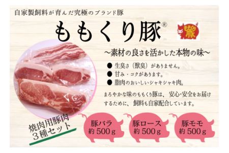 坊っちゃんハム工房 バーベキューセット　7種約3.3㎏｜ BBQ用 豚肉 ウィンナー
