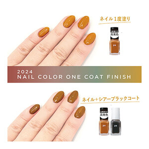 pa nail collective ネイル 4種 セット 4 マニキュア 速乾 ネイルカラー ベースコート トップコート ネイルケア ケア 爪 チェンジ 高発色 はがせるマニキュア 大阪 大阪府 岸