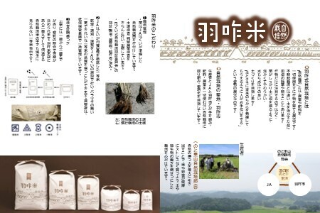 米粉 1kg  「自然栽培こしひかり羽咋米」 石川 能登 
