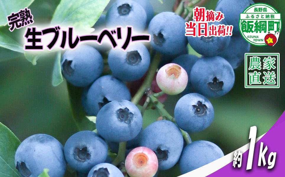 
                  【 冷蔵便 】 朝摘み 完熟 ブルーベリー 1kg 井澤農園 配送先は本州限定 令和8年度収穫分 2026年7月上旬頃から2026年9月上旬頃まで順次発送予定 信州 果物 フルーツ ベリー 長野 予約 農家直送 長野県 飯綱町 [0811]
                