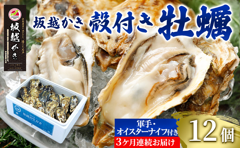 【発送月固定定期便】生食OK 坂越かき 殻付き牡蠣 12個 軍手・オイスターナイフ付全3回