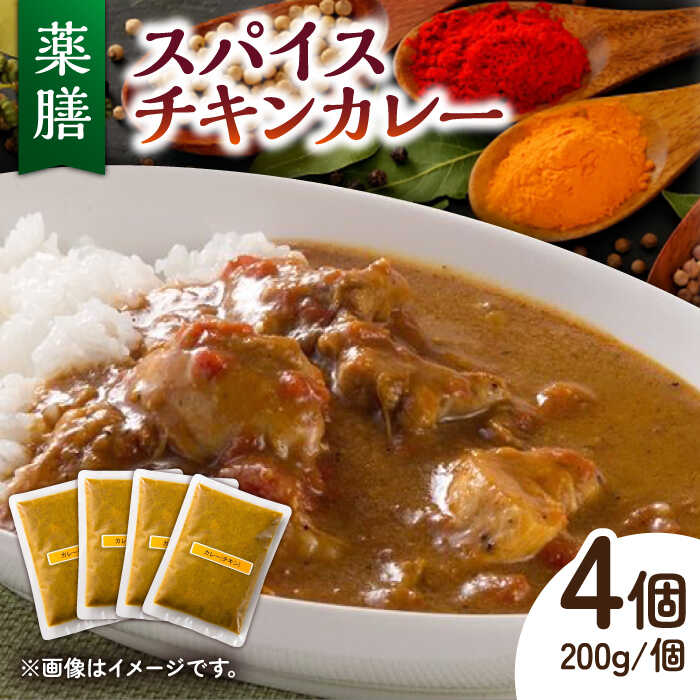 【ふるさと納税】32種のスパイス 薬膳スパイス チキンカレー /自然庵 [UCQ001] カレー 冷凍カレー レトルト スパイスカレー 個包装
