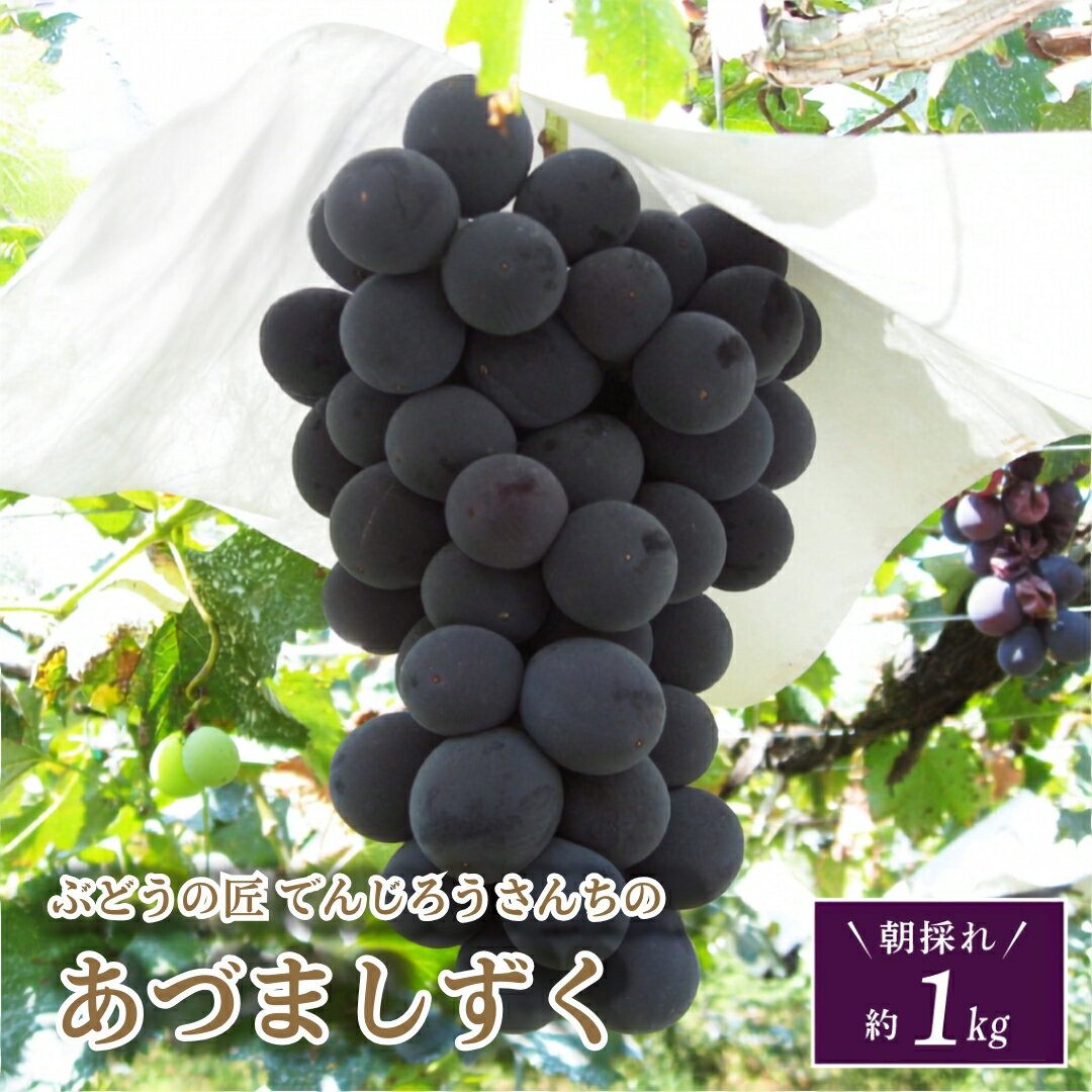 【ふるさと納税】【先行予約】＼あづましずく 約1kg／ 高級 種無し 種なし 皮ごと 巨峰 ぶどう 品種 果物 フルーツ シャインマスカット ナガノパープル 人気 ランキング 贈答 ギフト 訳あり 納税 福島 ふくしま 田村市 たむら 鈴木農園 でんじろうさん
