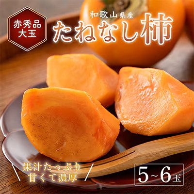
                  柿 種無し 赤秀品 大玉 5～6個 約2kg ｜ フルーツ 果物 くだもの かき カキ 種なし たねなし 刀根早生柿 甘い 濃厚 果汁 シャキシャキ 追熟 秋の味覚 旬 秀品 厳選 希少 お取り寄せ 産地直送 先行予約 数量限定 期間限定 和歌山県 美浜町
                
