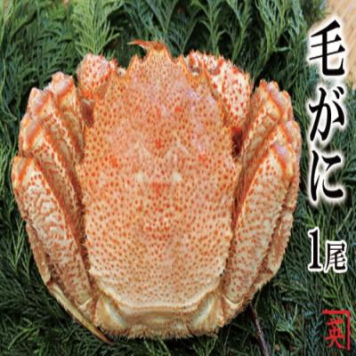 ふるさと納税 根室市 ＜12/21まで年内配送＞★ボイル毛蟹600g〜1kg×1尾 B-27009