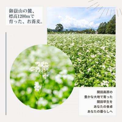 ふるさと納税 木曽町 【開田高原】在来品種の開田早生を使用した「かいだそば」5セット希少価値高め! |  | 03