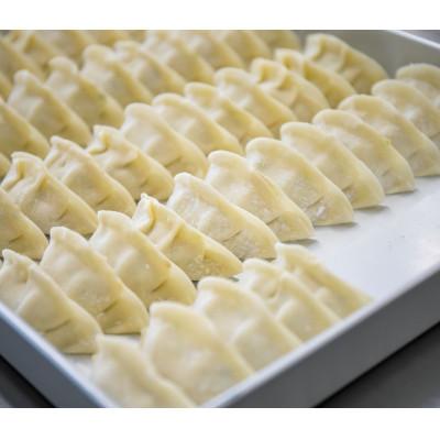 ふるさと納税 那須塩原市 那須餃子50個入 |  | 02