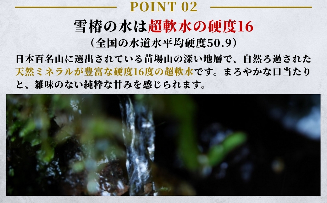 【定期便】雪椿の天然水 2L×6本×全6回