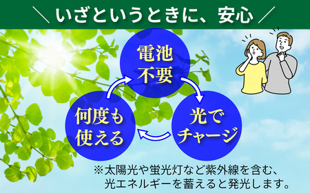 光るゴム紐　１セット
