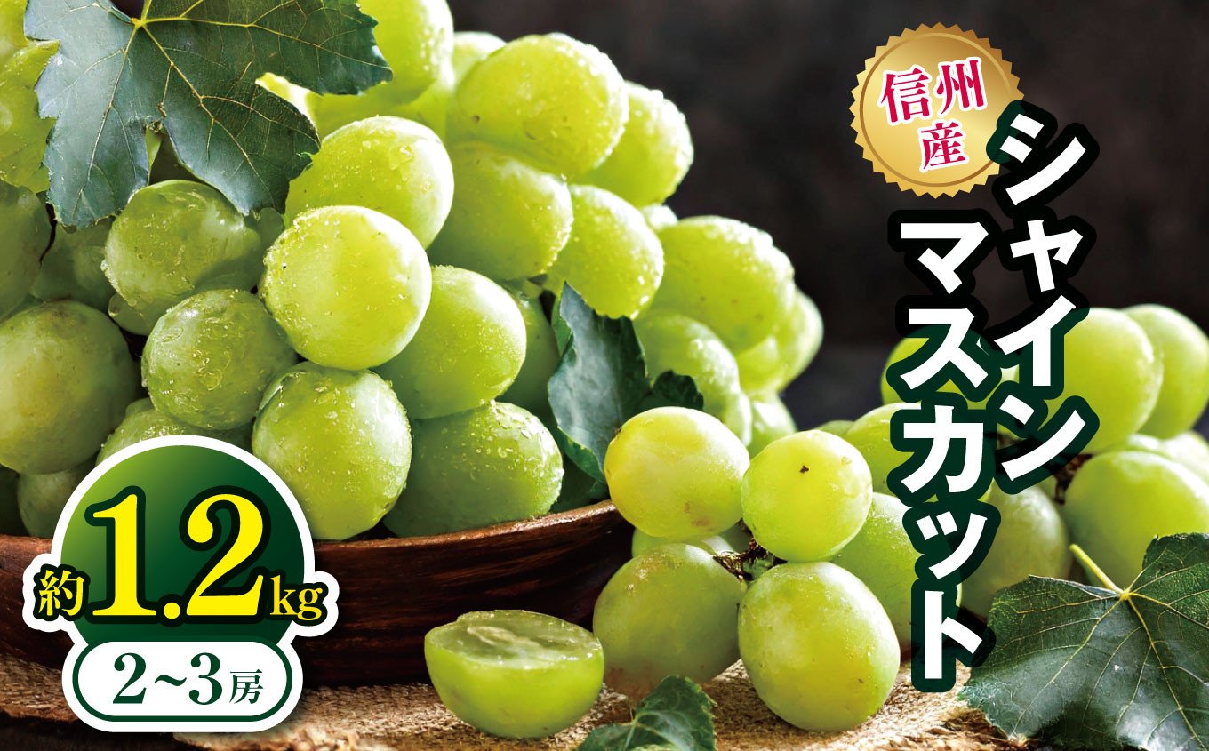 
            【先行予約】信州産 シャインマスカット 約1.2kg（2～3房）｜ふるさと納税 長野県 松本市 シャインマスカット フルーツ 果物 ぶどう
          