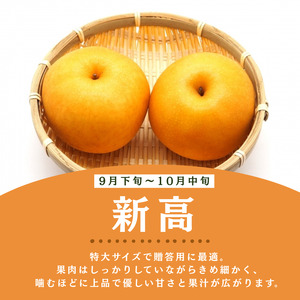 栃木県産 なし 梨 新高 3kg 9～10月発送予定 | お取り寄せ 果物 くだもの フルーツ 梨 なし プレゼント ご褒美 甘い 贈答 秋 大きい 高評価 ナシ 8月 9月 10月 栃木県 真岡市 