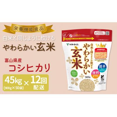 ふるさと納税 碧南市 やわらかい玄米 900g×50袋　※定期便12回　　H074-636