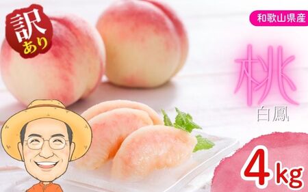 桃 白鳳 約4kg 箱 (13～15個) 【訳あり】サイズ不揃い カキエモン農園【BX-kkem030】