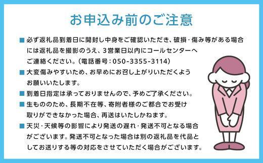 ぶどう 2026年  シャイン マスカット 晴王 2房（合計約1kg） ブドウ 葡萄  岡山県産 国産 フルーツ 果物 ギフト