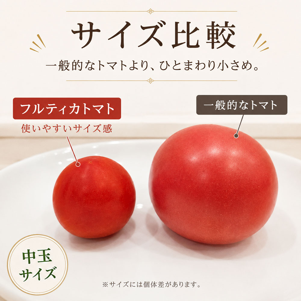 【11月発送】トマト魂！峯本の贅沢フルティカトマト（中玉サイズ）4kg 4キロ  ミディトマト トマト ふるさと納税 フルティカ とまと サラダ 野菜 美味しい【R01033】