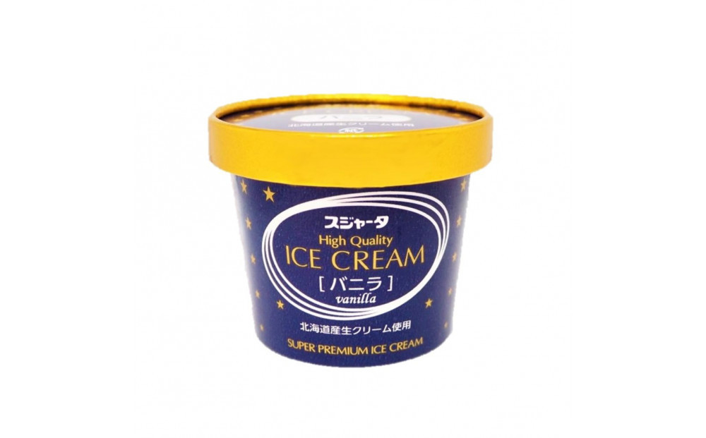 アイス 11個 詰め合わせ【チョコ入り】 シンカンセンスゴイカタイアイス 詰合せ