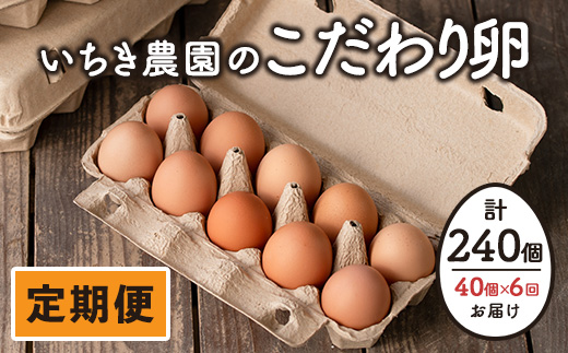 isa542 【定期便】いちき農園のこだわり卵(計240個・40個×6カ月) 【いちき農園】
