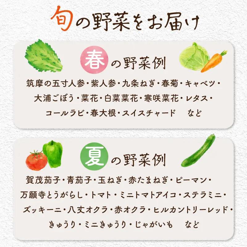【4回定期便】春夏秋冬自然栽培野菜セット(年4回)4～5人用 野菜