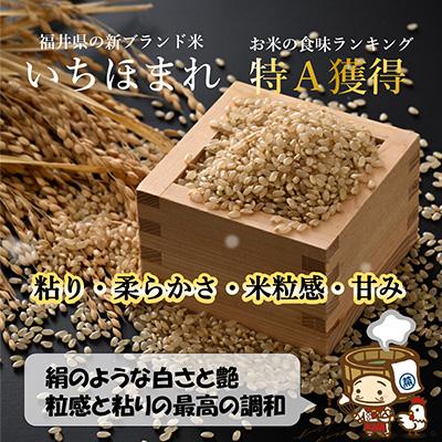 ふるさと納税 あわら市 【毎月定期便】いちほまれ 玄米 5kg全3回 |  | 01