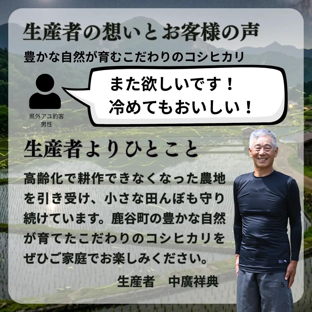 米 コシヒカリ 精米 10kg 令和8年産 先行予約 [A-104003]