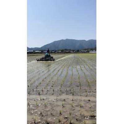 ふるさと納税 弥彦村 令和7年産「伊彌彦米 零(ぜろ)」玄米10kg(5kg×2袋) 農薬・化学肥料不使用 新潟県 弥彦村 |  | 02