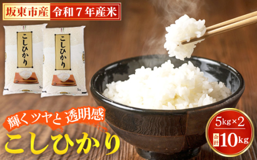 No.669 令和7年産　こしひかり10kg【坂東市産】 ／ コシヒカリ お米 こめ 茨城県