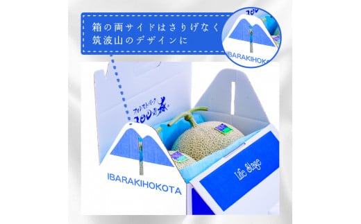 【3ヶ月定期便】アールスメロン（マスクメロン）1個入り（約1.5kg 2kg）×3回