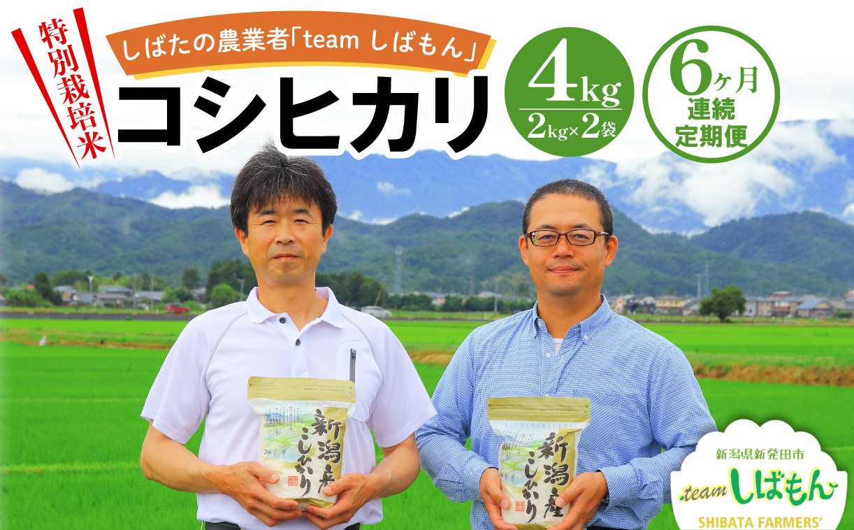 
            【R7年産先行予約】 新米 定期便 4kg×6ヵ月 新潟県産 特別栽培米コシヒカリ 新潟県 新潟産 新発田産 米 コシヒカリ 特別栽培米 しばもん 2kg 6ヵ月 定期便 D29_02
          