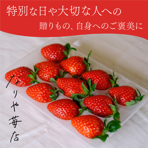 MI-01　【希少品種・鳥取県限定ブランド】とっておき苺（約500g）【2024年1月以降発送】