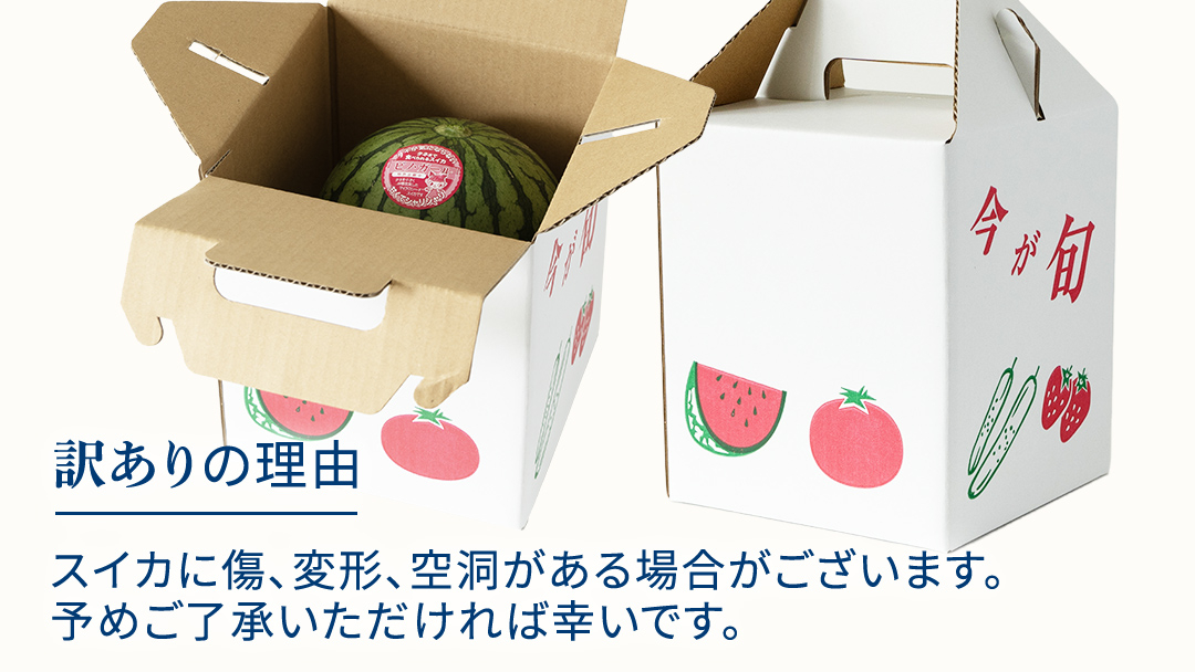 《 2027年 収穫分 》 訳あり タネが気にならない 小玉スイカ ピノ・ガール 1玉 先行予約 国産 KEK 小玉 スイカ すいか 小玉すいか こだますいか ピノガール 国産 西瓜 フルーツ 果物 