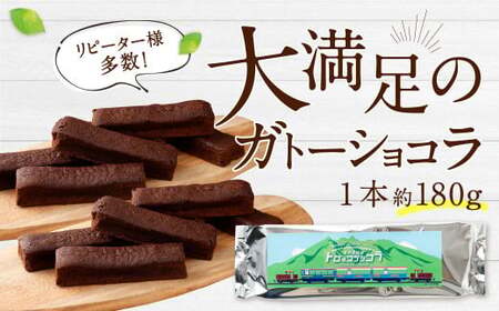 南阿蘇鉄道 トロッコショコラ 20本（約180g×20本）【2025年9月発送】菓子 お菓子 焼き菓子 チョコ風味 ショコラ ガトーショコラ 個包装 小分け