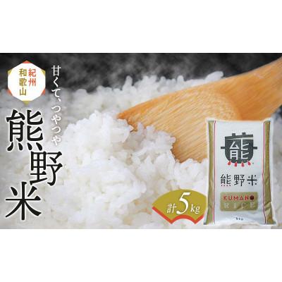 ふるさと納税 田辺市 紀州のお米 熊野米5kg / 田辺市 ブランド米 ひかり新世紀【tgm003-2】