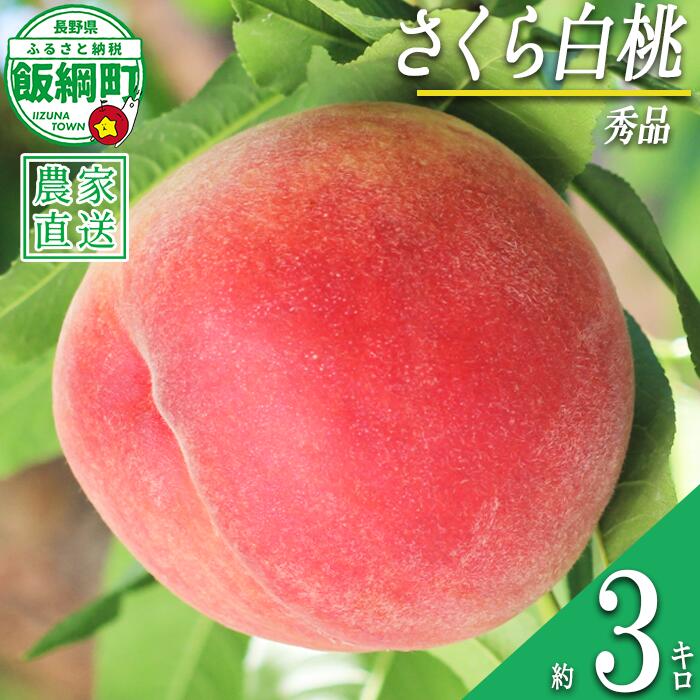 【ふるさと納税】 もも 完熟 さくら白桃 秀品 3kg サイズおまかせ 白桃 井澤農園配送先は本州限定 令和8年度収穫分 エコファーマー認定 長野県 飯綱町 〔 信州 果物 フルーツ 大玉 モモ 桃 長野 19000円 予約 農家直送 〕発送時期：2026年9月中旬〜2026年10月上旬