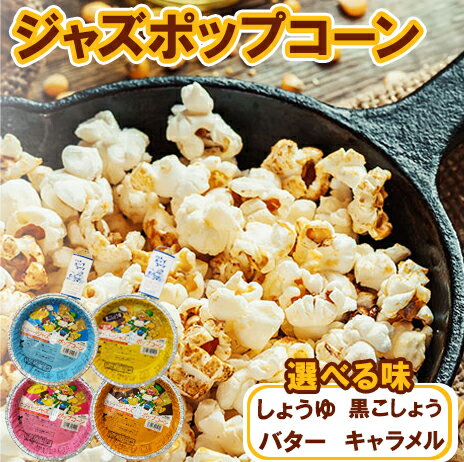【ふるさと納税】選べる 種類 ジャズポップコーン バター しょうゆ 黒こしょう キャラメル ｜ ポップコーン popcorn おやつ とうもろこし