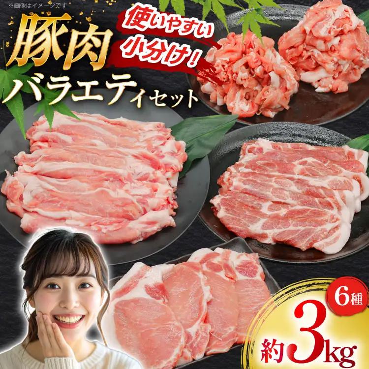 豚肉 バラエティ セット 計3kg ロース とんかつ用 豚こま 肩ロース スライス 切り落とし しゃぶしゃぶ [司フーズ・システム 兵庫県 三田市 3d28bdy500013] 