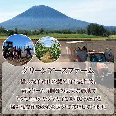 ふるさと納税 倶知安町 北海道倶知安町産　長芋　計5kg　秋堀りとろろ芋　グリーンアースファーム |  | 03