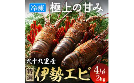 【 先行予約 2026年度発送】 冷凍伊勢海老 4尾 約2kg 刺身用