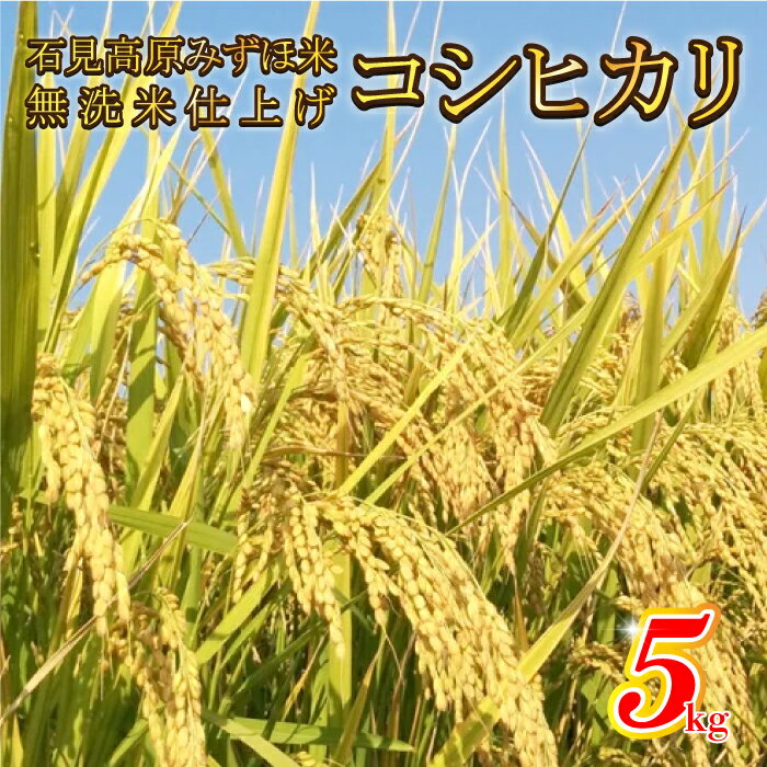 【ふるさと納税】令和7年産!　石見高原みずほ米コシヒカリ 無洗米仕上　5kg